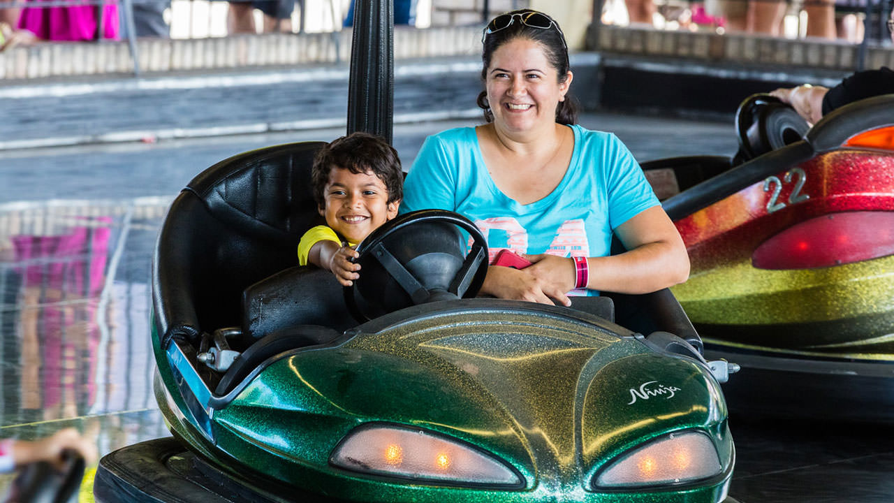Dodgems family classic ride at Waldameer Amusement Park