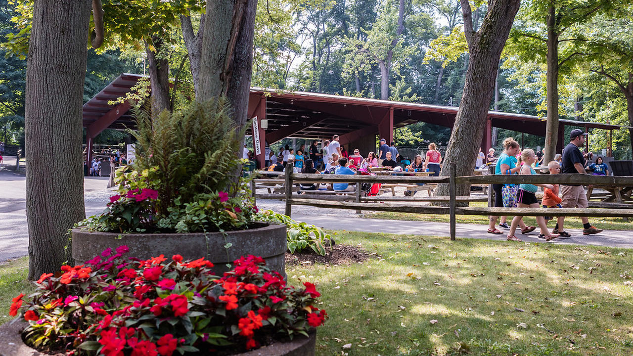 Southern I picnic grove at Waldameer